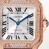 Santos de Cartier