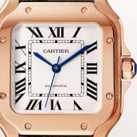 Santos de Cartier