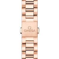 Seamaster Aqua Terra 150 M