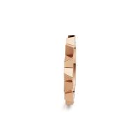 Vivida Z Ring