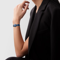 LA GRANDE CLASSIQUE DE LONGINES