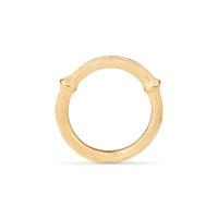 Nature Ring III