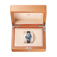 Seamaster Aqua Terra 150 M