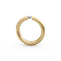 Spannring® Oval