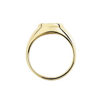 Ring Sigel Essentials