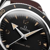 Seamaster 300 Co‑Axial Master Chronometer 41 mm