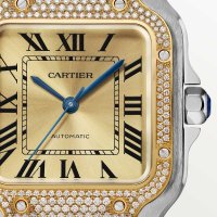 Santos de Cartier