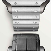 Santos de Cartier skelettiert
