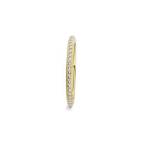 Satellite Fine Ring