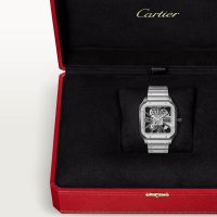 Santos de Cartier skelettiert