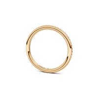 Satellite Fine Ring