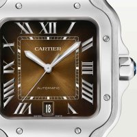 Santos de Cartier