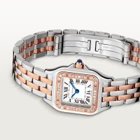 Panthère de Cartier