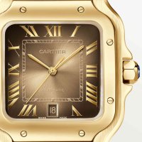 Santos de Cartier