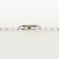 Panthère de Cartier