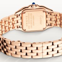 Panthère de Cartier