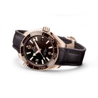 Seamaster Planet Ocean 600m