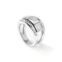 CURRICULUM VITAE Ring 3 small