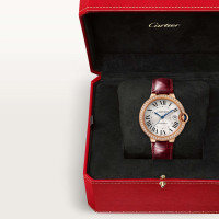 Ballon Bleu de Cartier