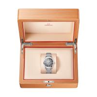 Seamaster Railmaster