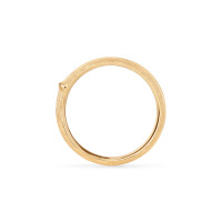 Nature Men´s Ring Small