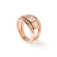 CURRICULUM VITAE Ring 3 small
