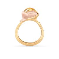 Lotus Ring 2