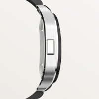 Santos de Cartier Chronograph
