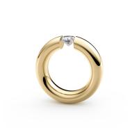 Spannring® Oval 