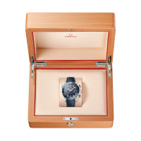 Seamaster Planet Ocean 600M