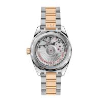 Seamaster Aqua Terra Shades