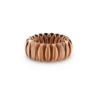 Phoenix Ring