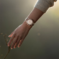 Speedmaster 38