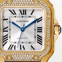 Santos de Cartier