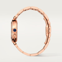 Pasha de Cartier