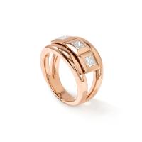 CURRICULUM VITAE 3 Ring Diamanten medium