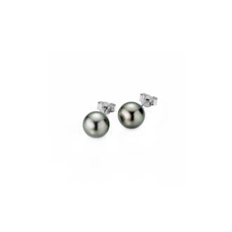 Basics Ohrstecker
