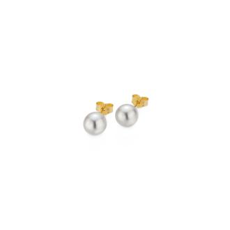 BASICS Ohrstecker