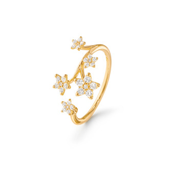 Shooting Stars Ring groß