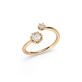 Alpen Ring