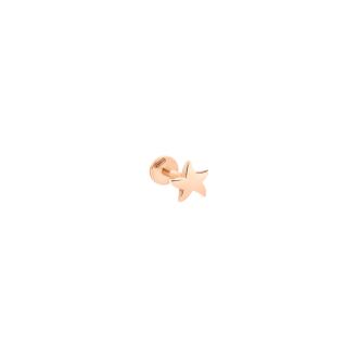 Piercing Stellina