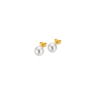 Basic Ohrstecker
