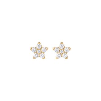 Shooting Stars Ohrstecker