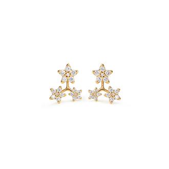 Shooting Stars Ohrstecker