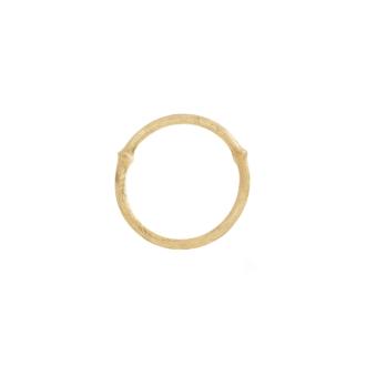 Nature Ring 1