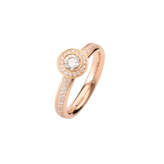 Alpen Ring