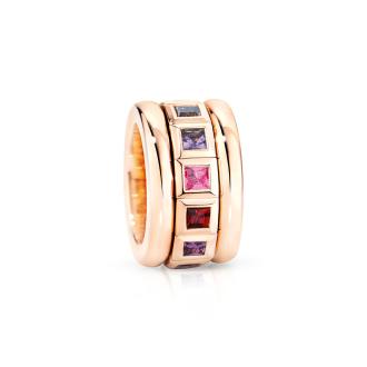 CURRICULUM VITAE Ring Wildberry