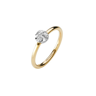 Alpen Ring