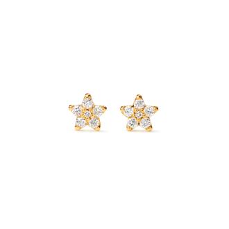 Shooting Stars Ohrstecker Mini