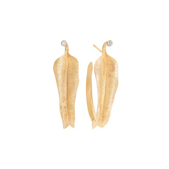 Leaves Creolen groß